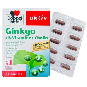 Ginkgo + B vitamins + Cholin